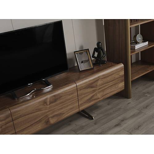 MTV 43 Ceviz Tv �nitesi