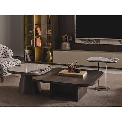 Lotus Tv �nitesi