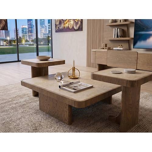 Picasso Tv �nitesi