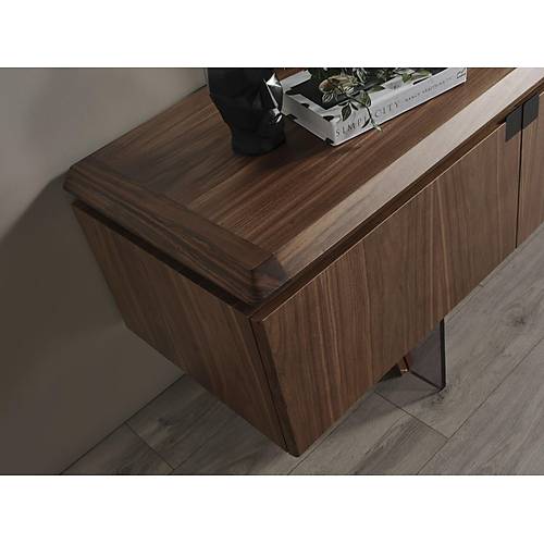 MTV 41 Ceviz Tv �nitesi