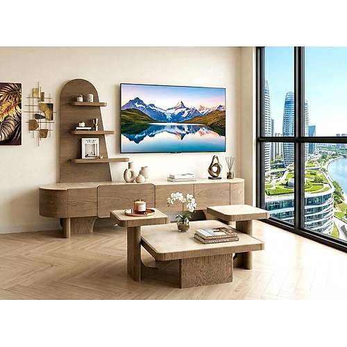 Picasso Tv �nitesi