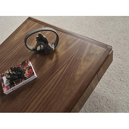 MTV 41 Ceviz Tv �nitesi