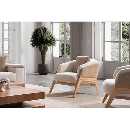 Ares Koltuk Tak�m� -4