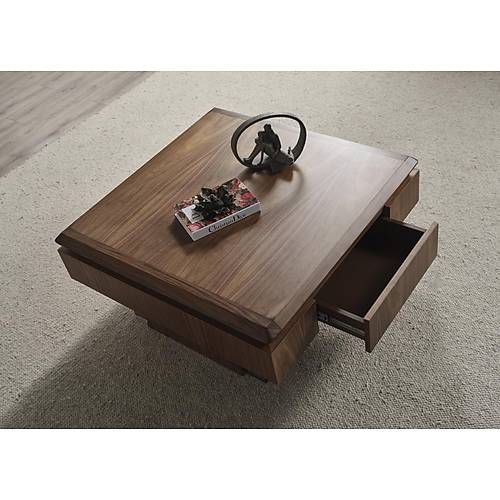 MTV 41 Ceviz Tv �nitesi