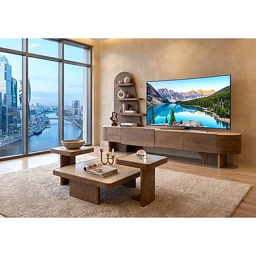 Picasso Tv �nitesi