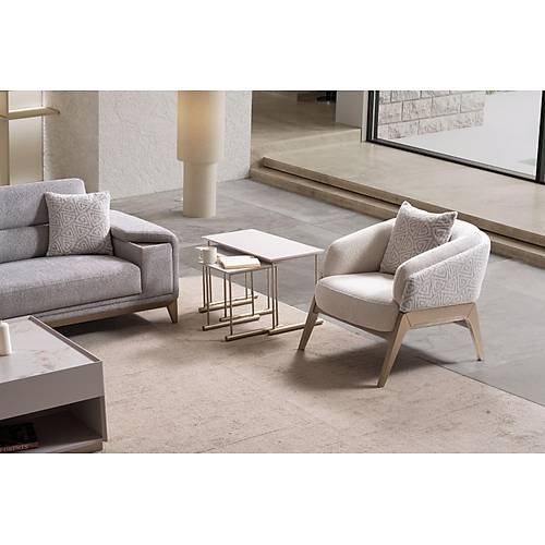 Ares Koltuk Tak�m� -2