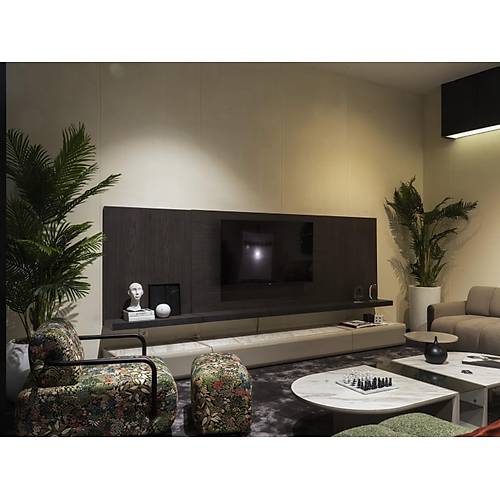Rivian Tv �nitesi