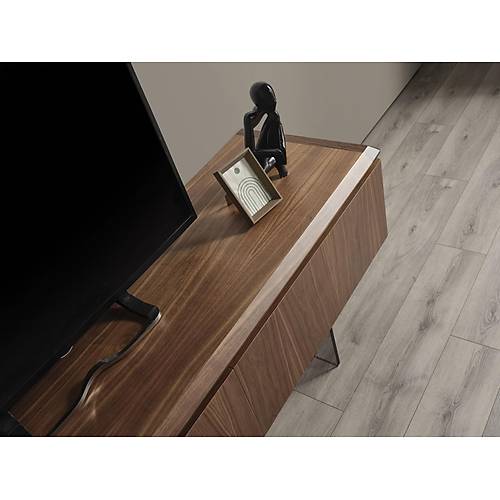 MTV 41 Ceviz Tv �nitesi