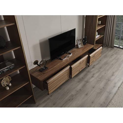 MTV 43 Ceviz Tv �nitesi