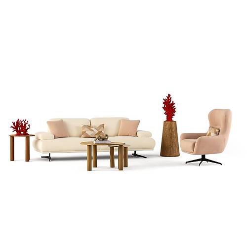 Feniks Koltuk Tak�m�