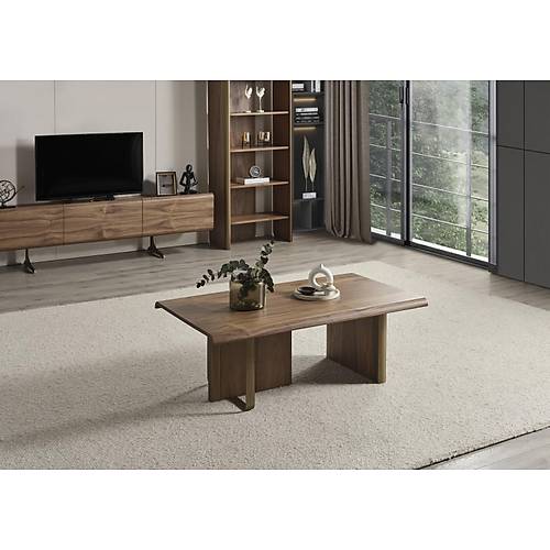 MTV 43 Ceviz Tv �nitesi