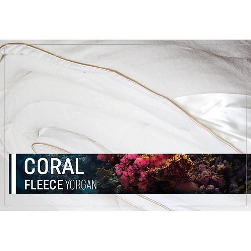 Coral Fleece Yorgan