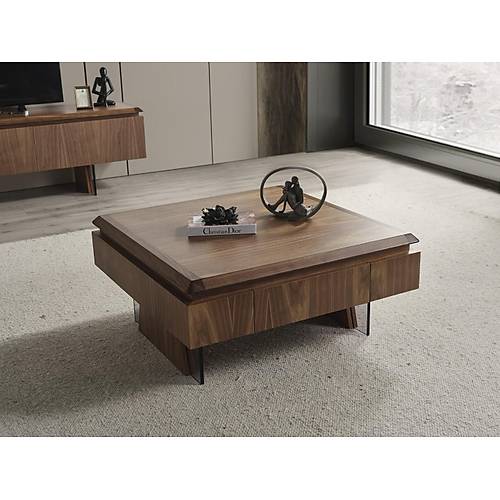 MTV 41 Ceviz Tv �nitesi