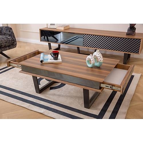 Efes Ceviz Tv �nitesi