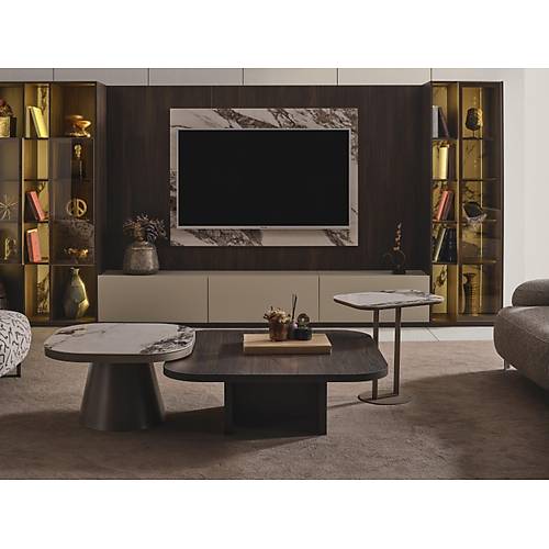Lotus Tv �nitesi