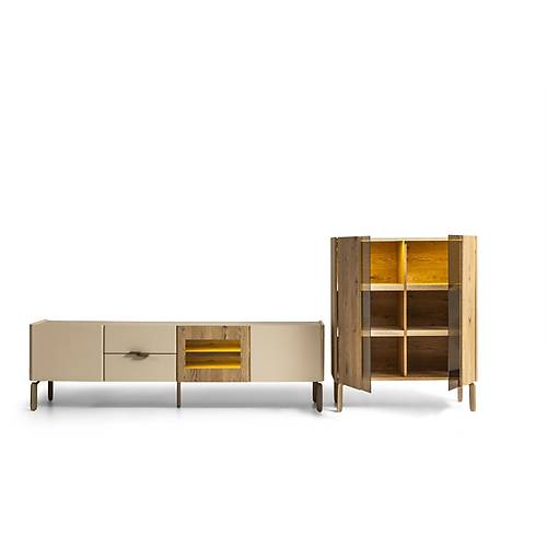 Artemis Tv �nitesi