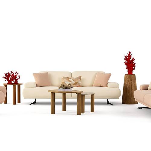 Feniks Koltuk Tak�m�