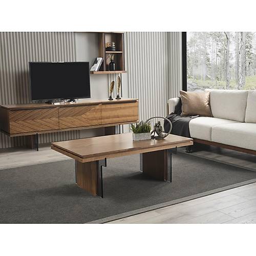 MTV 57 Ceviz Tv nitesi