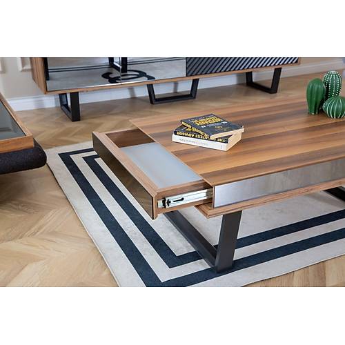 Efes Ceviz Tv �nitesi