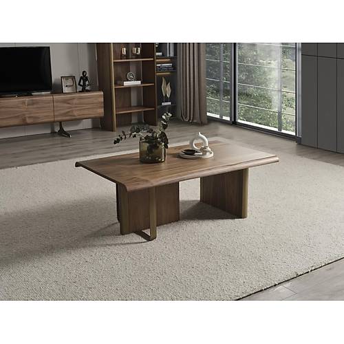 MTV 43 Ceviz Tv �nitesi