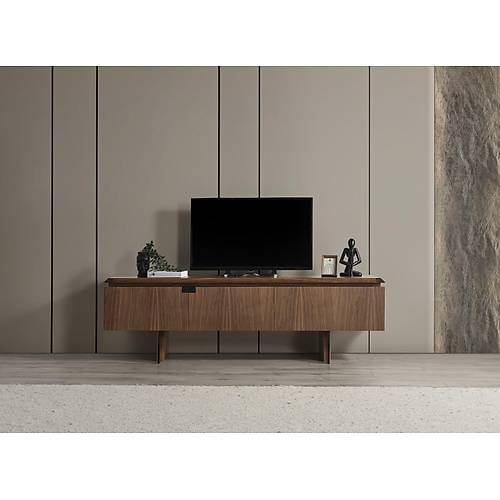 MTV 41 Ceviz Tv �nitesi