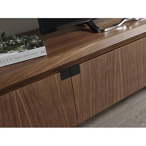 MTV 41 Ceviz Tv �nitesi