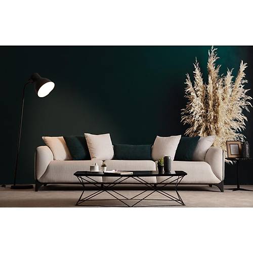 Boss Koltuk Tak�m� -2