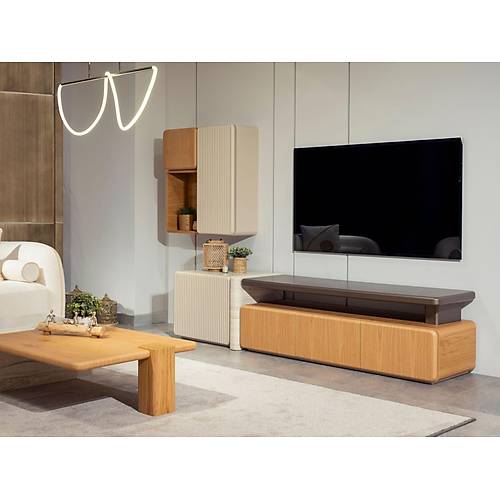 Dome Tv �nitesi