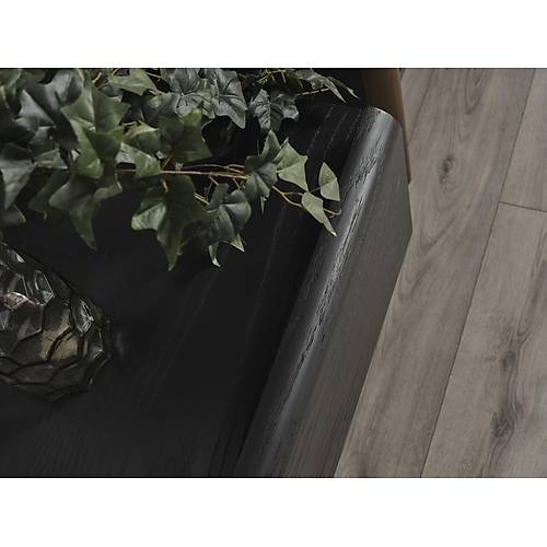 MTV 42 Dark Tv nitesi