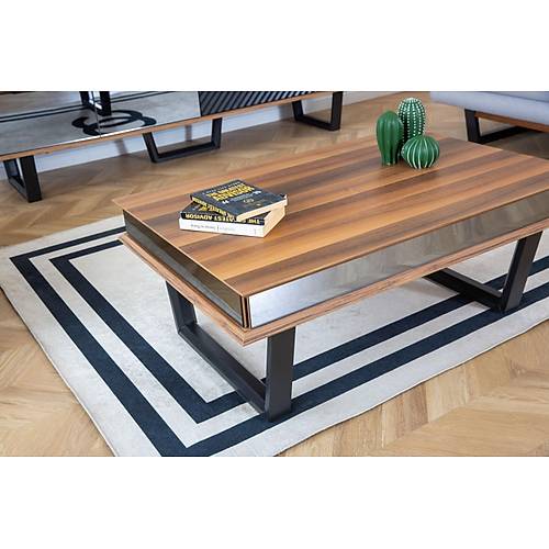 Efes Ceviz Tv �nitesi