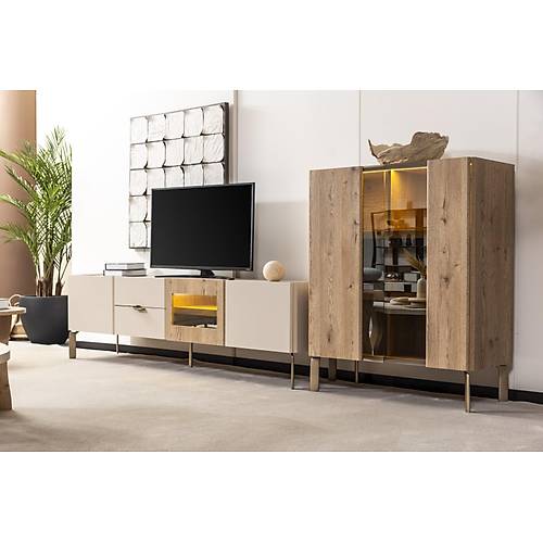 Artemis Tv �nitesi