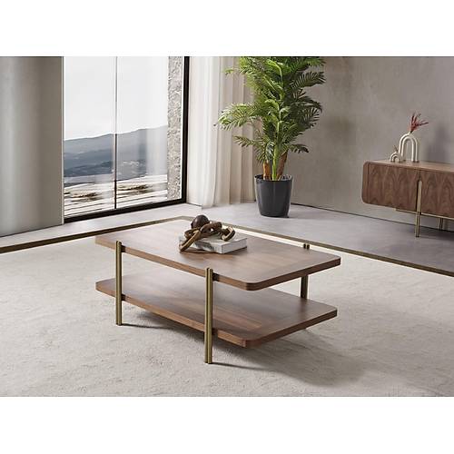 MTV 30 Ceviz Tv �nitesi