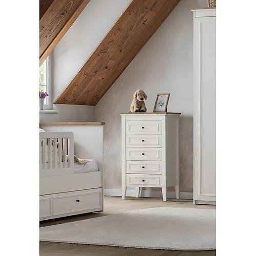 Petra Ay Gen� Odas�