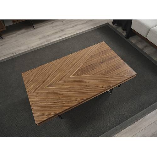 MTV 57 Ceviz Tv nitesi