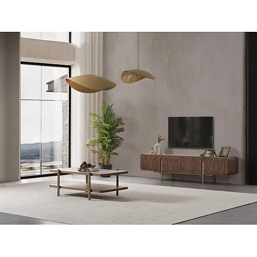 MTV 30 Ceviz Tv �nitesi