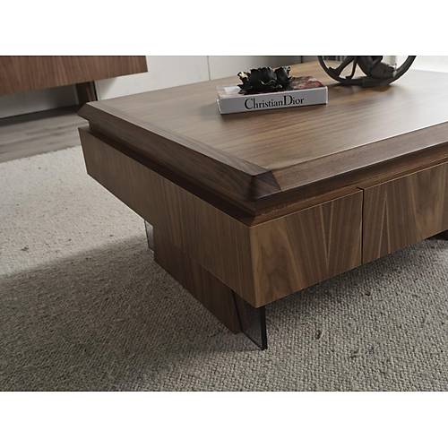 MTV 41 Ceviz Tv �nitesi