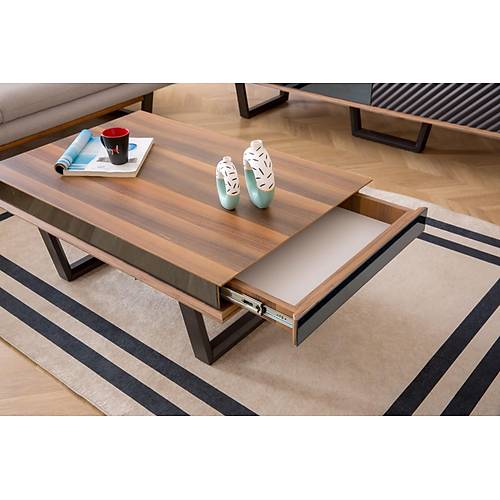 Efes Ceviz Tv �nitesi