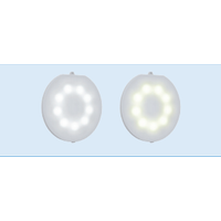 ASTRAL Lumiplus Led Aydnlatma - V2  Flexi beyaz ampul (DC)
