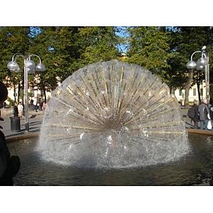 Top K�re Fiskiyesi TD3