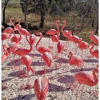 Yeni B�y�k Boy Flamingo Polyester Heykel Tak�m� 2'li