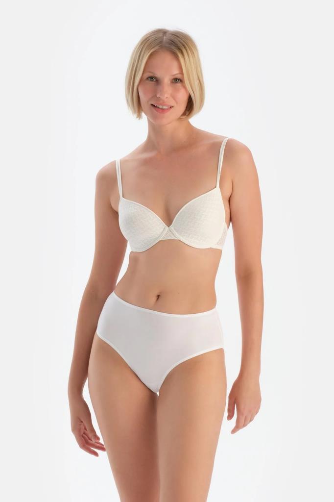 3 lü Paket Dagi Bayan Yüksek Bel Slip Külot 5104KC