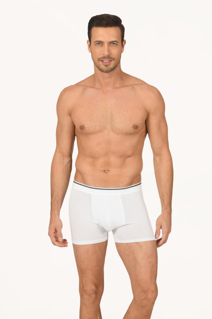 6 Adet Nbb Erkek Modal Boxer 735