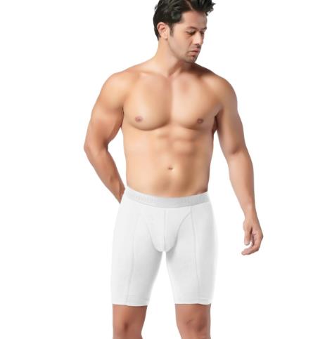 Gümüş Erkek Likralı Uzun Boxer 4074