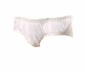 6 Adet Anıt Erkek Çocuk Pamuklu Penye Slip Külot 4755