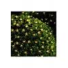 G�rsel 6