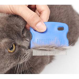 Kedi K�pek Bit ve Pire Tara��
