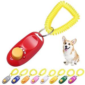 K�pek E�itimi Clicker