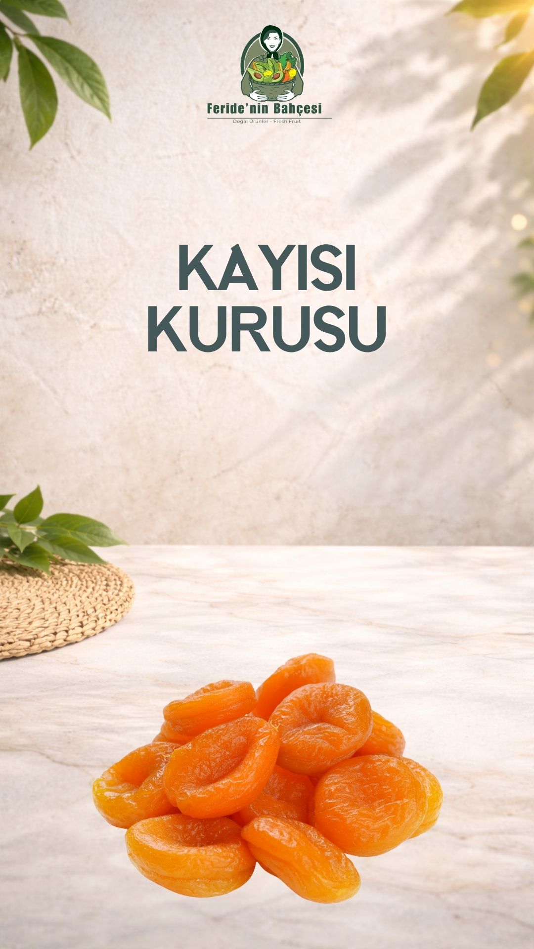 KAYISI KURUSU SARI