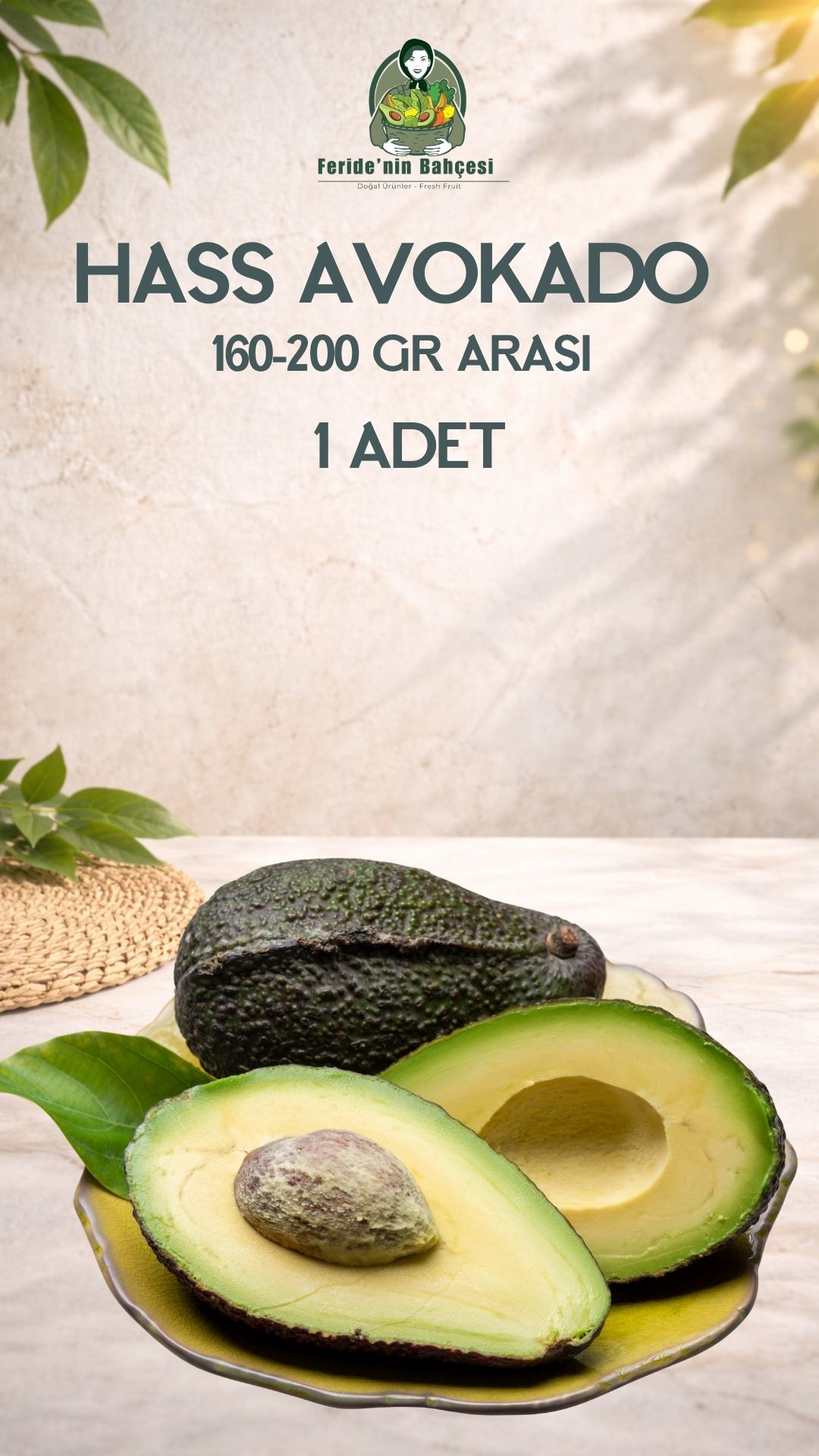 HASS AVOKADO 160 GR - 200 GR ARASI