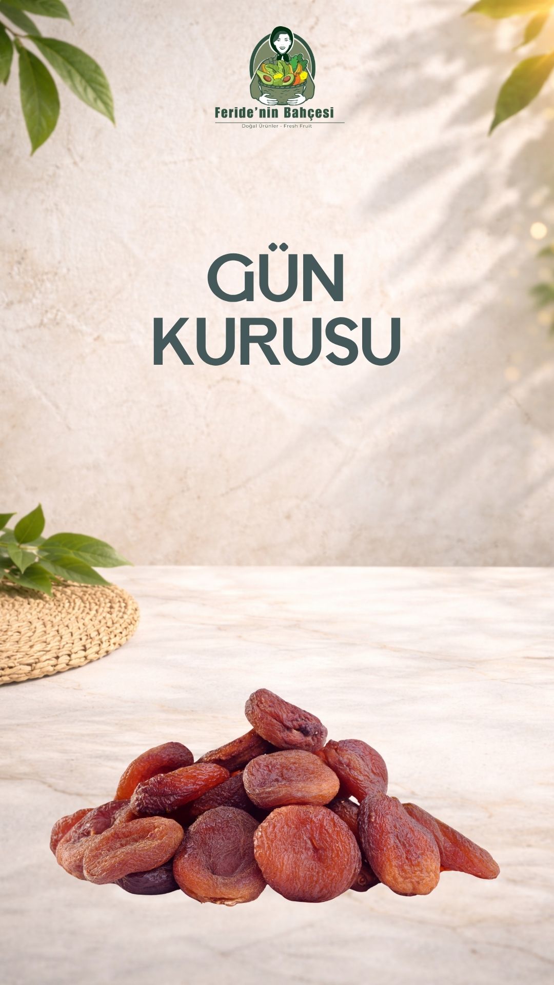 GÜN KURUSU